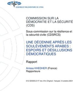 COMMISSION SUR LA DÉMOCRATIE ET LA SÉCURITÉ (CDS) - NATO PA