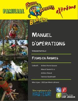 MANUEL D'OP&Eacute;RATIONS FJORD EN ARBRES - Collectif : J&eacute;r&ocirc;me Perrin Gouron Marcel Savoie B. sc - Le Parc Aventures Cap Jaseux
