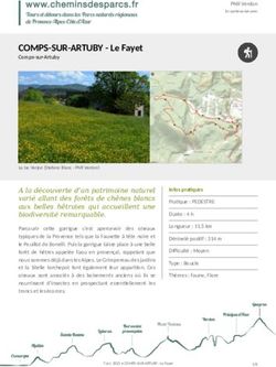 COMPS-SUR-ARTUBY - Le Fayet - Comps-sur-Artuby - Chemins des parcs