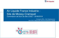 Air Liquide France Industrie - Site de Moissy-Cramayel - Commission de Suivi de Site (CSS) 20/06/2019 - Préfecture de ...