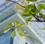 RENDRE LE MONDE MEILLEUR - Rapport sur la durabilit&eacute; 2019