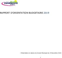 RAPPORT D'ORIENTATION BUDGETAIRE 2019 - Ville de Vandoeuvre