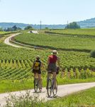 Destination Bourgogne : quelles connaissances, quelles perceptions, quelle d&eacute;sirabilit&eacute; ? - Rapport d'&eacute;tude - Bourgogne-Franche-Comt&eacute; Tourisme