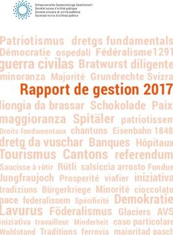 Rapport de gestion 2017 - Wohlstand Traditions ferrovia maioritad pasch - SGG-SSUP