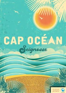SEIGNOSSE CAP OC&Eacute;AN - CAP OC&Eacute;AN