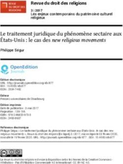 Le traitement juridique du ph&eacute;nom&egrave;ne sectaire aux &Eacute;tats-Unis : le cas des new religious movements