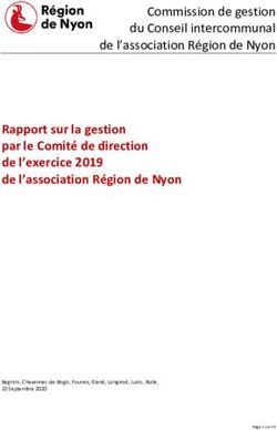 Rapport sur la gestion par le Comité de direction de l'exercice 2019 de l'association Région de Nyon