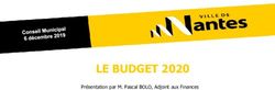 LE BUDGET 2020 Présentation par M. Pascal BOLO, Adjoint aux Finances - Nantes Métropole