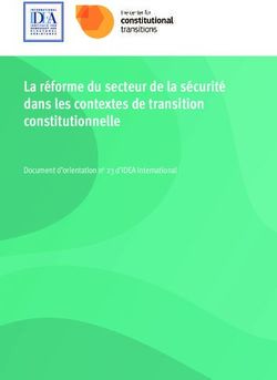 La r&eacute;forme du secteur de la s&eacute;curit&eacute; dans les contextes de transition constitutionnelle - Document d'orientation no 23 d'IDEA International