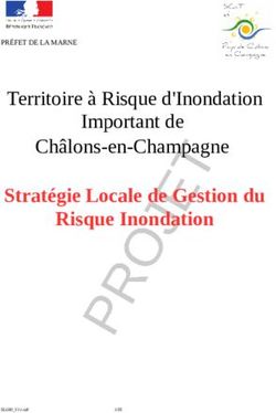 Stratégie Locale de Gestion du Risque Inondation - Territoire à Risque d'Inondation Important de Châlons-en-Champagne