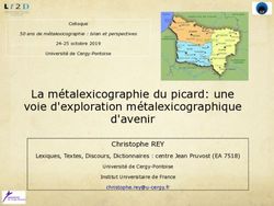 La m&eacute;talexicographie du picard: une voie d'exploration m&eacute;talexicographique d'avenir - Christophe Rey