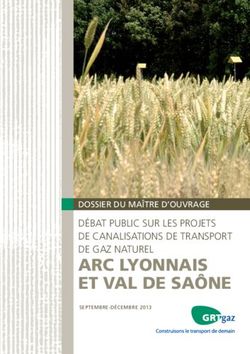 ARC LYONNAIS ET VAL DE SAÔNE - DÉBAT PUBLIC SUR LES PROJETS DE CANALISATIONS DE TRANSPORT DE GAZ NATUREL - CNDP