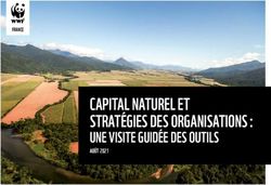 CAPITAL NATUREL ET STRATÉGIES DES ORGANISATIONS : UNE VISITE GUIDÉE DES OUTILS AOÛT 2021