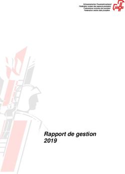 Rapport de gestion 2019 - Schweizerischer Feuerwehrverband