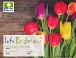 Info Boisbriand Plan stratégique : la première étape! - Venez tendre le bras! Camps de jour - Ville de Boisbriand