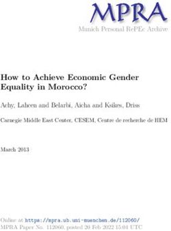 How to Achieve Economic Gender Equality in Morocco? - Munich ...