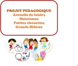 PROJET PEDAGOGIQUE Accueils de loisirs Maintenon Petites chouettes Grands Hiboux - Association PEP28