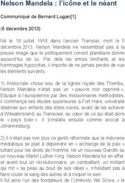 Nelson Mandela : l'ic&ocirc;ne et le n&eacute;ant