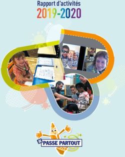 2019-2020 Rapport d'activités - Je Passe Partout