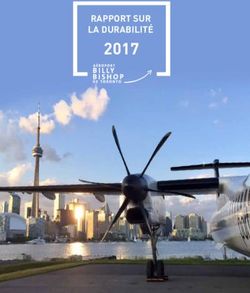 2017 RAPPORT SUR LA DURABILITÉ - PortsToronto