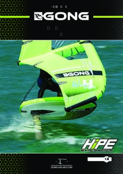 GUIDE DE L'UTILISATEUR USER GUIDE - FOILBOARDS - Gong