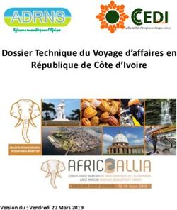 Dossier Technique du Voyage d'affaires en République de Côte d'Ivoire - Version du : Vendredi 22 Mars 2019 - ADRNS