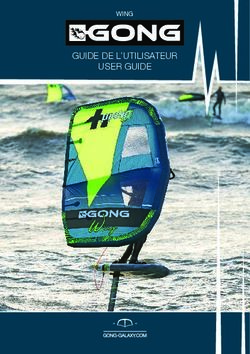 GUIDE DE L'UTILISATEUR USER GUIDE - WING - GONG GALAXY