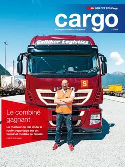 Le combin&eacute; gagnant Le meilleur du rail et de la route: reportage sur un terminal mod&egrave;le au Tessin - SBB Cargo