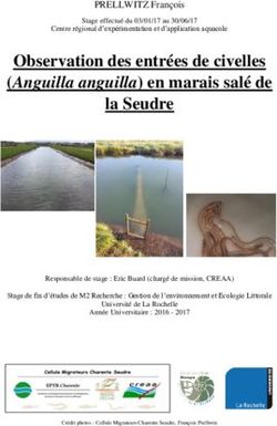 Observation des entrées de civelles (Anguilla anguilla) en marais salé de la Seudre - EPTB Charente