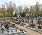 LYC&Eacute;E PIERRE-MEND&Egrave;S-FRANCE, LE RENOUVEAU - #84 | JANVIER 2020 - Ris Orangis