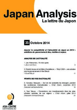 Japan Analysis La lettre du Japon