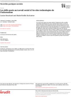 Les d&eacute;fis pos&eacute;s au travail social &agrave; l'&egrave;re des technologies de l'information - &Eacute;rudit