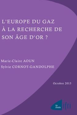 L'EUROPE DU GAZ À LA RECHERCHE DE SON ÂGE D'OR ? - Marie-Claire AOUN Sylvie CORNOT-GANDOLPHE - Ifri