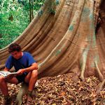 Plantons pour la plan&egrave;te : la Campagne pour un milliard d'arbres - Pro gramme des Nations Unies pour l'environnement - UNEP