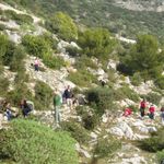 Plantons pour la plan&egrave;te : la Campagne pour un milliard d'arbres - Pro gramme des Nations Unies pour l'environnement - UNEP