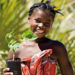 Plantons pour la plan&egrave;te : la Campagne pour un milliard d'arbres - Pro gramme des Nations Unies pour l'environnement - UNEP