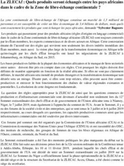 La ZLECAf : Quels produits seront &eacute;chang&eacute;s entre les pays africains dans le cadre de la Zone de libre-&eacute;change continentale ? - TWN Africa