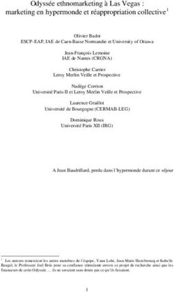 Odyss&eacute;e ethnomarketing &agrave; Las Vegas : marketing en hypermonde et r&eacute;appropriation collective1