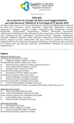 RESUME de la réunion du Conseil de Saint-Louis Agglomération qui s'est tenue au TRIANGLE à Huningue le 27 janvier 2021 - Saint-Louis ...