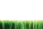 GUIDE COMMUNAUTAIRE de la garnison d'Edmonton - Printemps et &eacute;t&eacute; 2018 - connexionFAC.ca