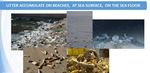 Rencontre avec Fran&ccedil;ois GALGANI - Ifremer " Plastiques et Oc&eacute;ans dans le contexte de l'&eacute;conomie circulaire " - CLORA