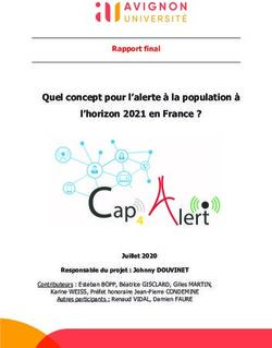 Quel concept pour l'alerte à la population à l'horizon 2021 en France ?