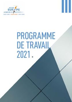 PROGRAMME DE TRAVAIL 2021 - Institut Jacques Delors