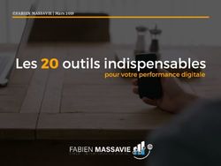 FABIEN MASSAVIE | Mars 2019