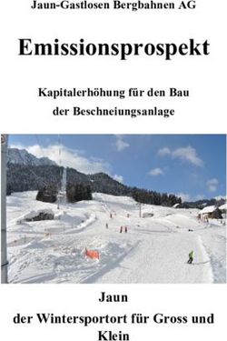 Emissionsprospekt - Jaun der Wintersportort für Gross und Klein - Jaun-Gastlosen Bergbahnen AG - Jaun Bergbahnen