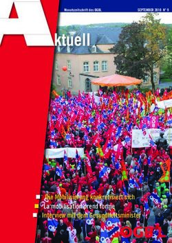 Die Mobilisierung konkretisiert sich La mobilisation prend forme Interview mit dem Gesundheitsminister - SEPTEMBER 2010 N 9 - OGBL