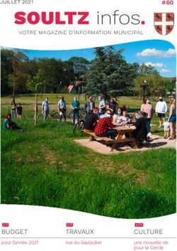 SOULTZ infos - BUDGET pour l'année 2021 - Ville de Soultz