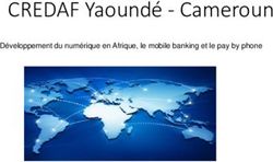 CREDAF Yaound&eacute; - Cameroun - D&eacute;veloppement du num&eacute;rique en Afrique, le mobile banking et le pay by phone