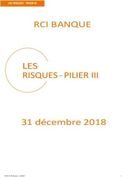 RCI BANQUE - 31 décembre 2018 - LES RISQUES - PILIER III