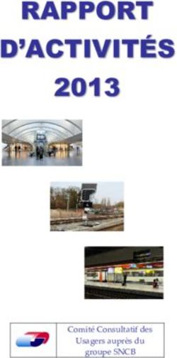 RAPPORT D'ACTIVITÉS 2013 - Comité Consultatif des Usagers auprès du groupe SNCB - CCU